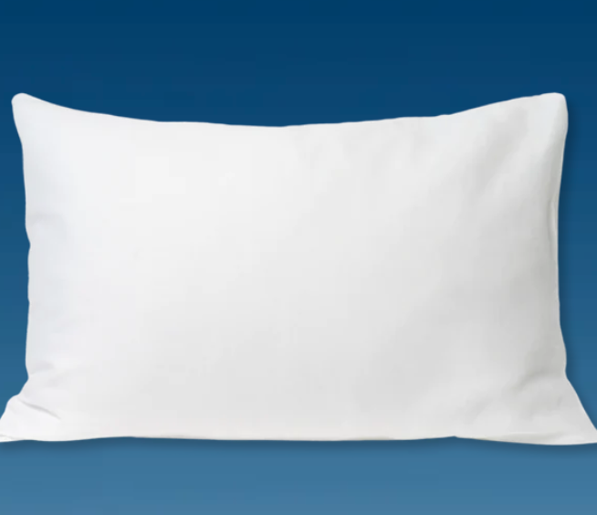 Clean Skin Club clean sleep silver ion pillowcase